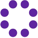 Radiant Systems Inc. logo