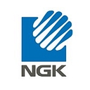 Ngk Ceramics Europe S.A. logo