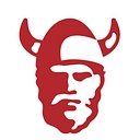 Norseman Protective Solutions logo