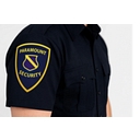 Paramount Security logo