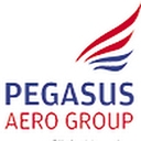 Pegasus Aero Group logo