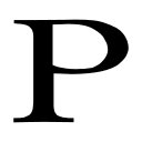 Porsche Holding logo