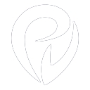 Provectus logo