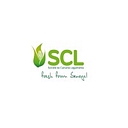 Société De Cultures Légumières (Scl) logo