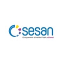 Sesan logo
