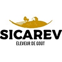 Sicarev logo