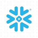 Observe, Inc. logo