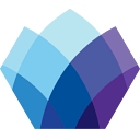 Solomon Partners logo