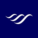 Ssy logo