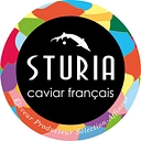 Groupe Kaviar │ Sturgeon logo