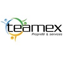 Teamex logo