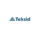 Teksid Iron Poland logo