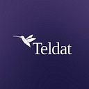 Teldat logo