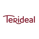 Terideal logo