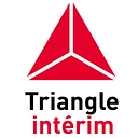 Triangle Interim logo