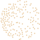 United World logo