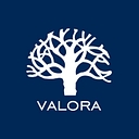 Valora Consultores logo