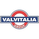 Valvitalia Group logo