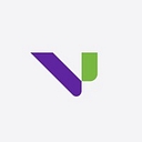 Velonetic logo