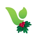 Vertas Group Limited logo