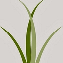 Wiregrass Georgia Technical College logo